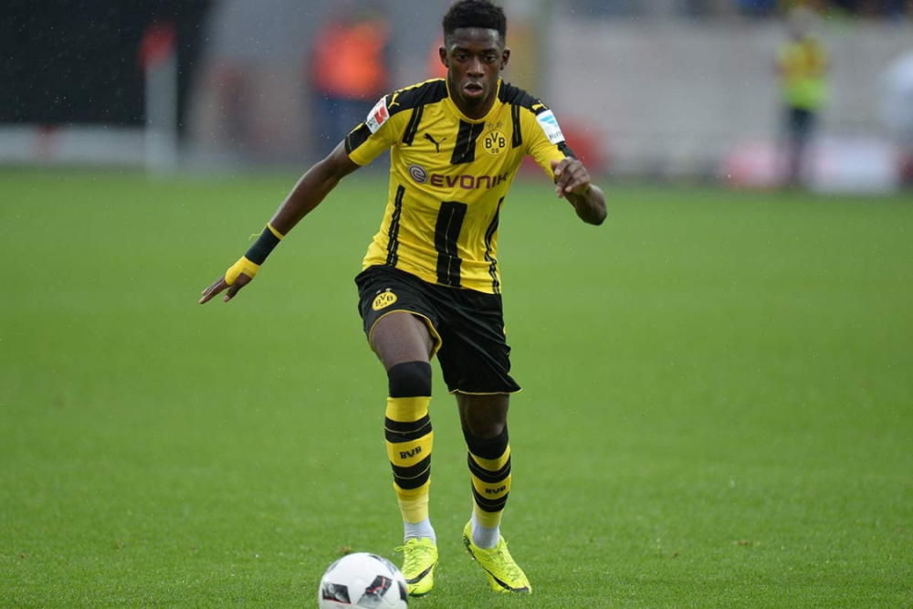 他们的卓越 他们的卓越