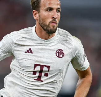 拳道比赛 拳道比赛