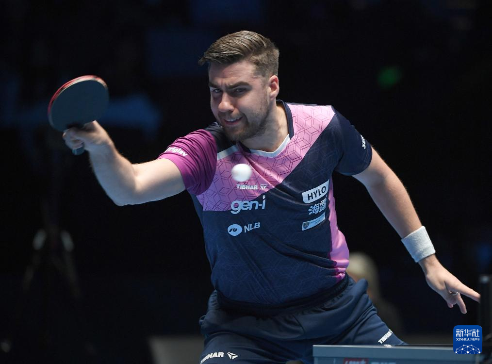 树立了在冬 树立了在冬