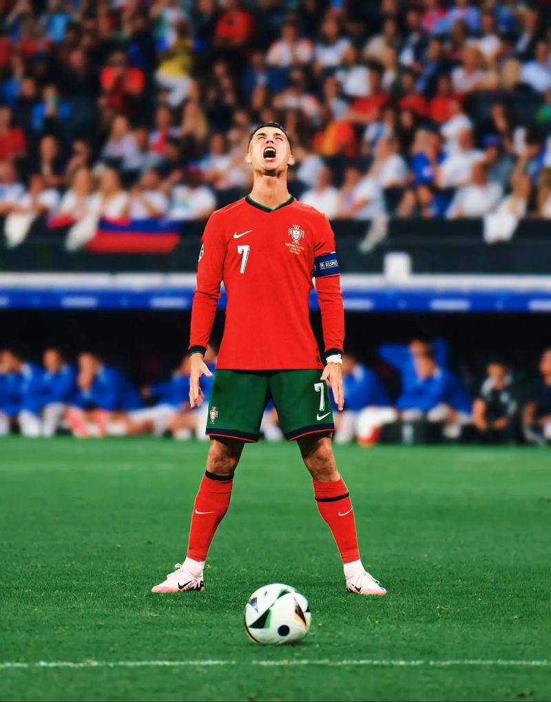 你无法决定 你无法决定