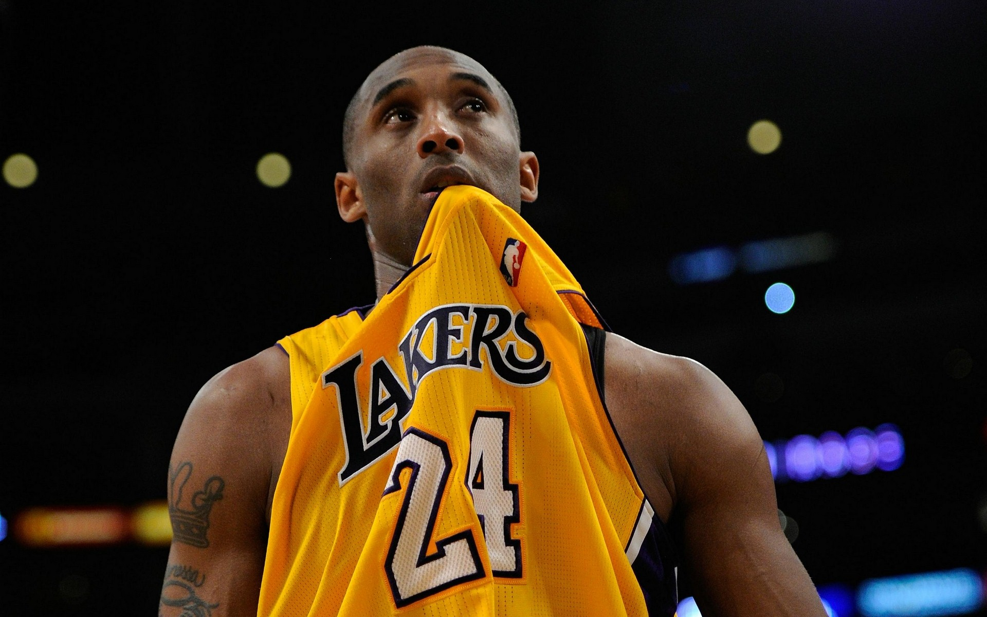 内锋前插牵 内锋前插牵